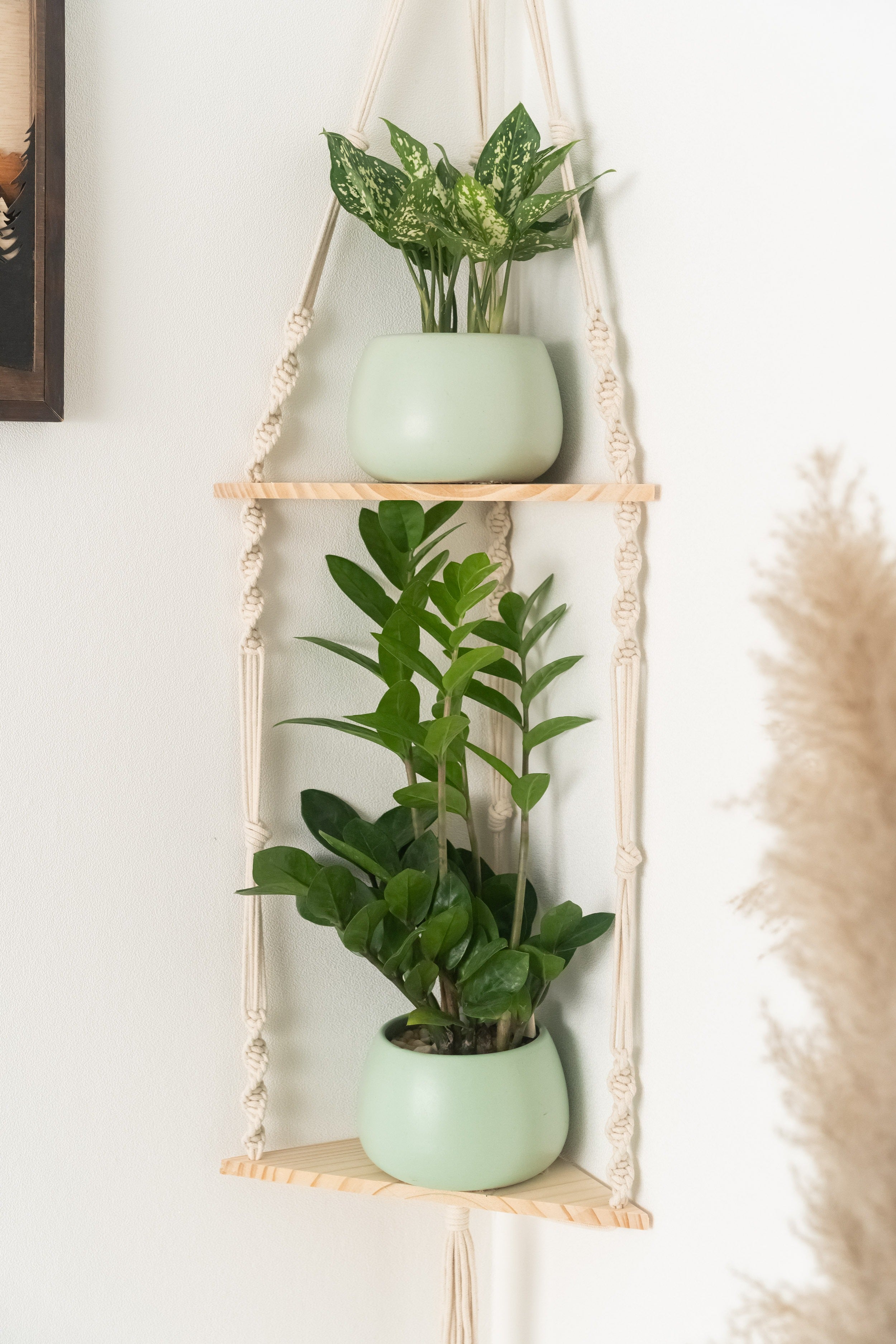 Macrame Hanging Shelf For Boho Wall Decor And Plant Display