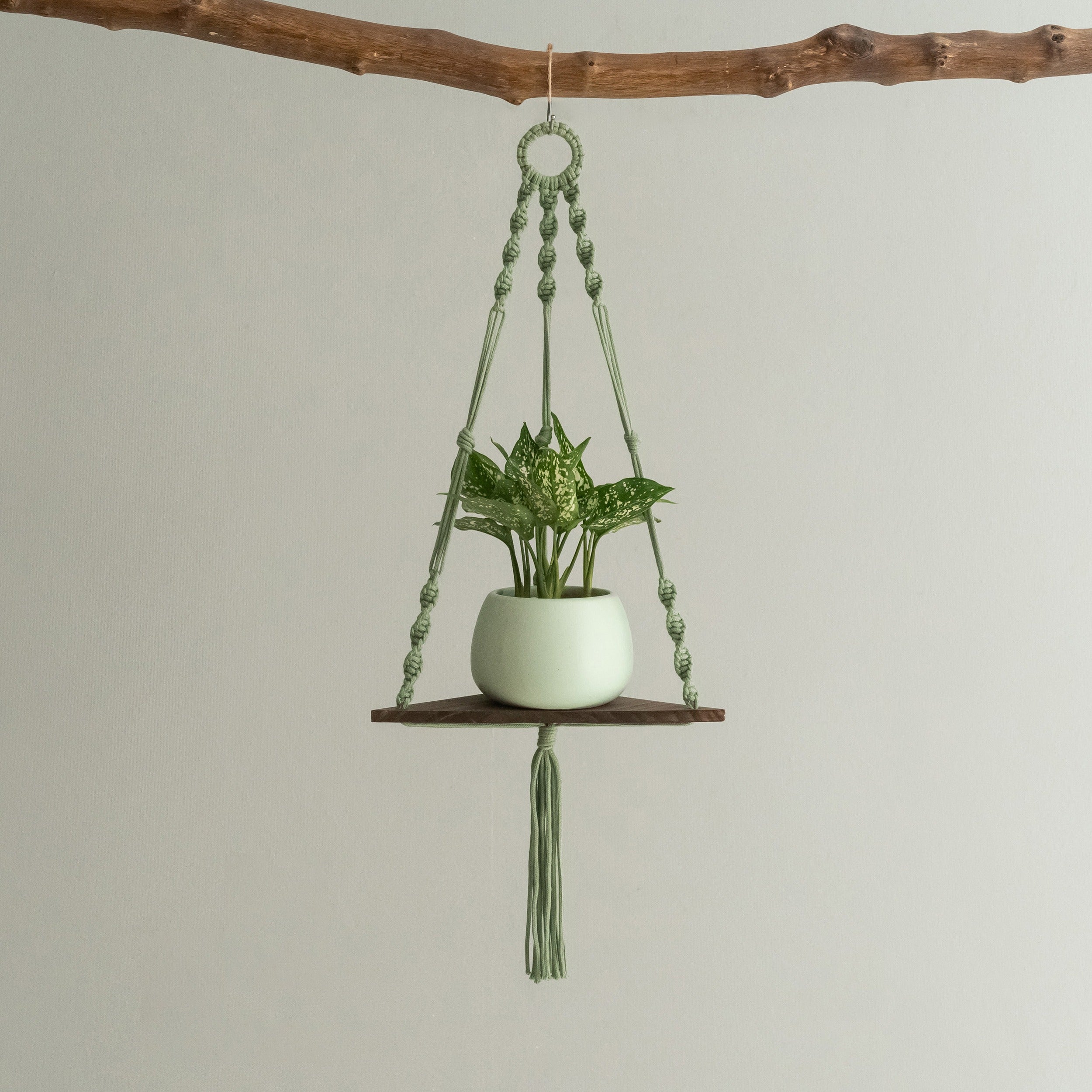 Macrame Hanging Shelf For Boho Wall Decor And Plant Display