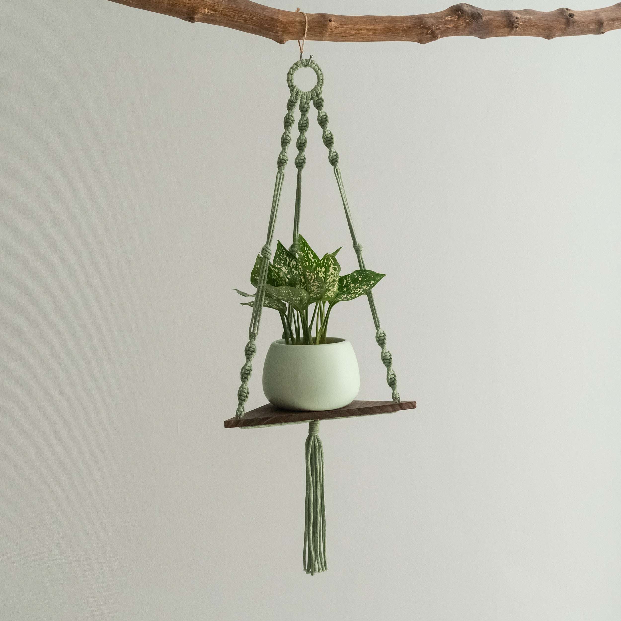 Macrame Hanging Shelf For Boho Wall Decor And Plant Display
