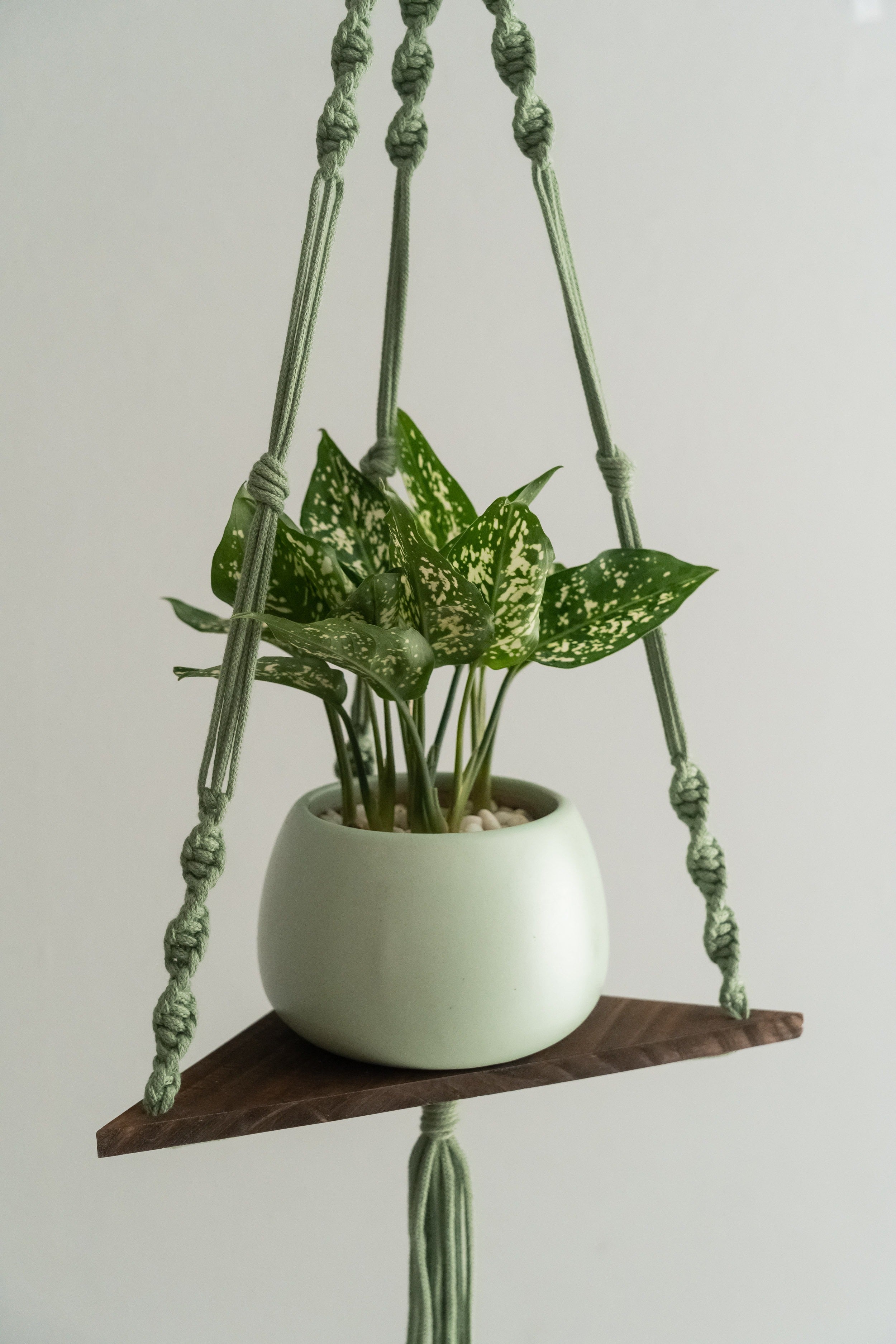Macrame Hanging Shelf For Boho Wall Decor And Plant Display