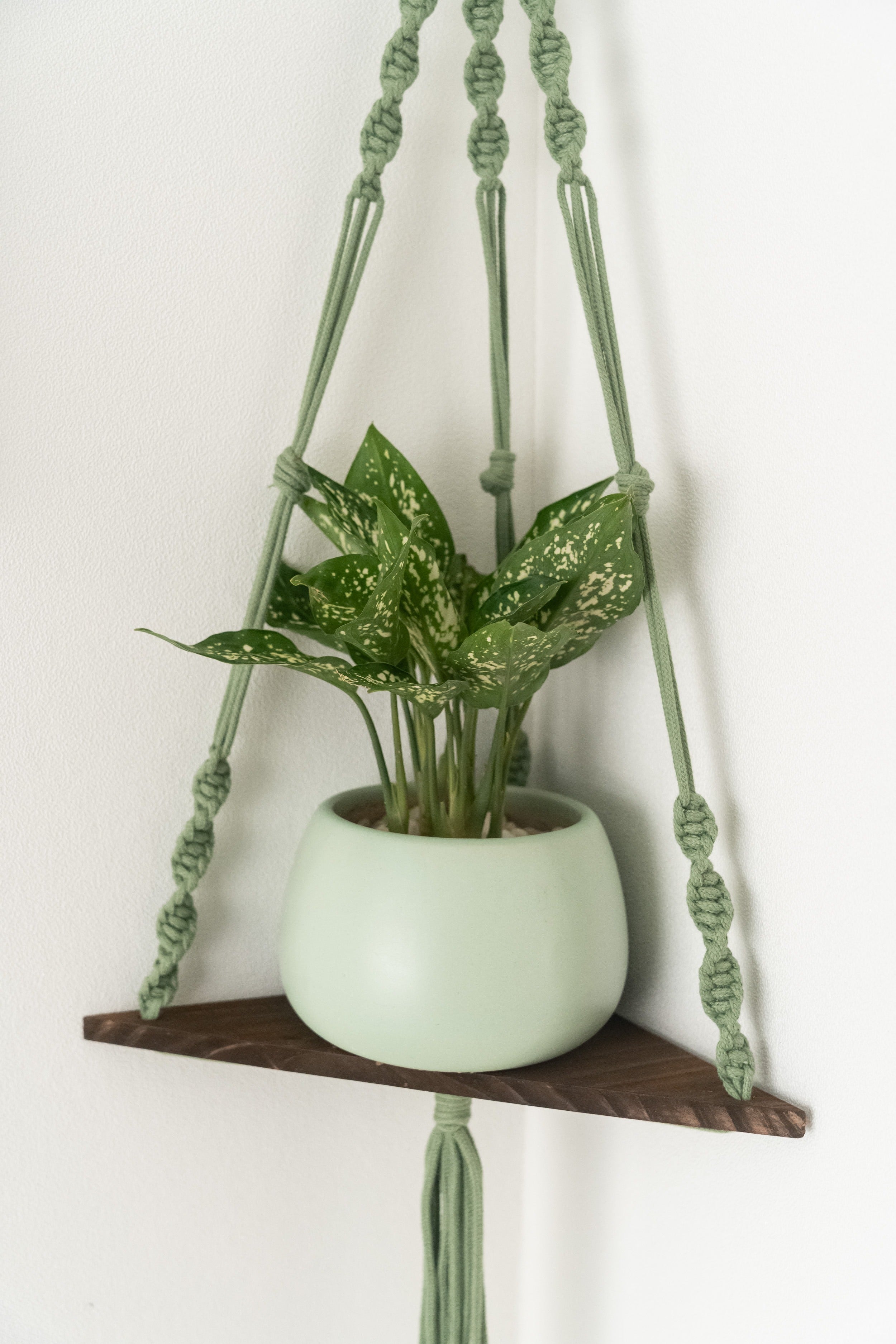 Macrame Hanging Shelf For Boho Wall Decor And Plant Display