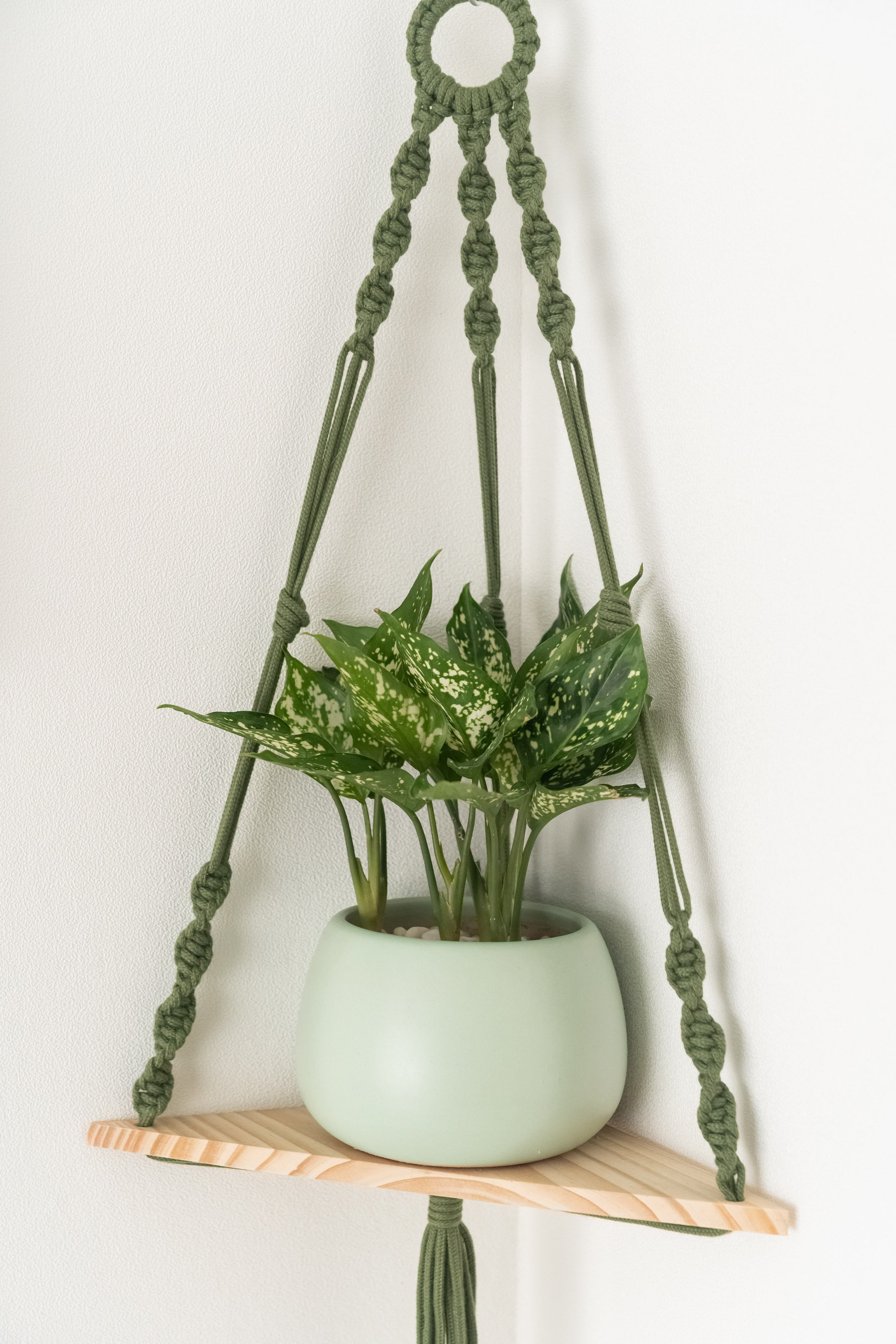 Macrame Hanging Shelf For Boho Wall Decor And Plant Display